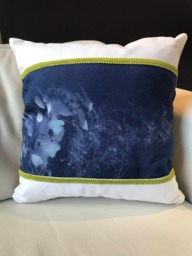 Cyanotype Pillow - thumbnail 1