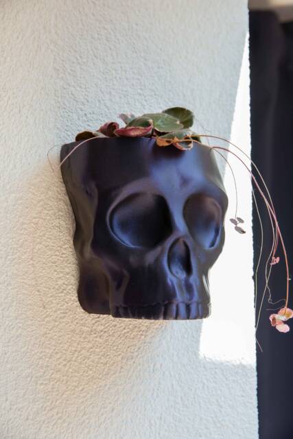 Skull Wall Planter - Unique Design Home Decor - image 1