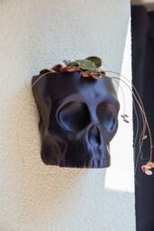 Skull Wall Planter - Unique Design Home Decor - thumbnail 1