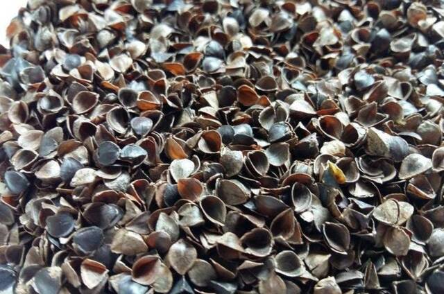 2, 5Kg/5, 5 lbs Bag, Organic Buckwheat Hulls, Buckwheat Pillow Insert, Organic Ecological Filling For Cushions, Made in Poland - image 1