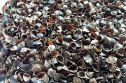 2, 5Kg/5, 5 lbs Bag, Organic Buckwheat Hulls, Buckwheat Pillow Insert, Organic Ecological Filling For Cushions, Made in Poland - thumbnail 1