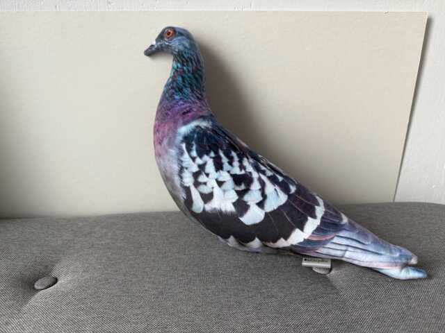 Christmas Pigeon Plush Stuffed Animal, Pillow Realistic Plush, Bird Pigeon Toy, Funny Cushions, Fun Shaped Decorative - image 1