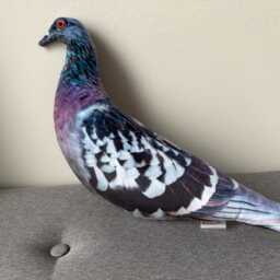 Christmas Pigeon Plush Stuffed Animal, Pillow Realistic Plush, Bird Pigeon Toy, Funny Cushions, Fun Shaped Decorative - thumbnail 2