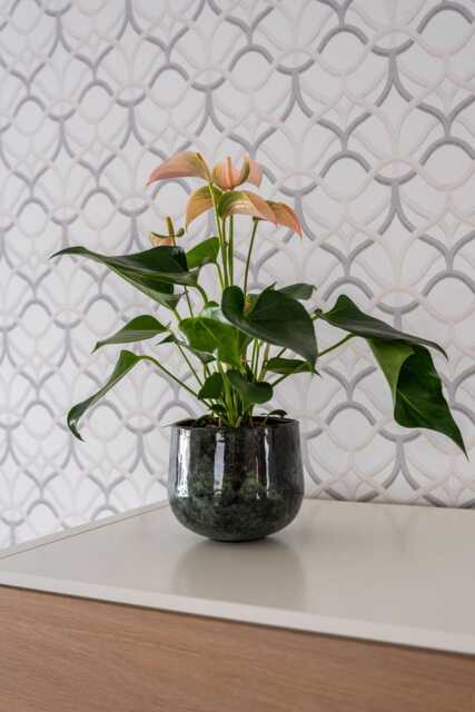 Emmie Metal Plant Pot, Mystic Green, Multiple Sizes, - D15cm-D23cm - image 1