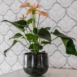 Emmie Metal Plant Pot, Mystic Green, Multiple Sizes, - D15cm-D23cm - thumbnail 2