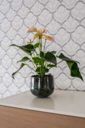 Emmie Metal Plant Pot, Mystic Green, Multiple Sizes, - D15cm-D23cm