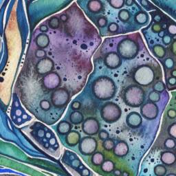 Hawksbill Sea Turtle Print Hawaiian Honu'ea Watercolor Art - thumbnail 3