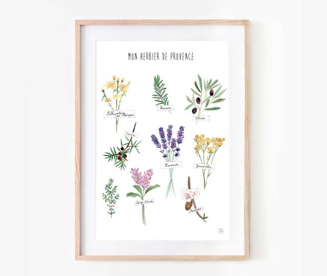 Provencal Herbarium Kitchen Poster, Decoration Illustration, Watercolor Painting, Plants, Card - image 1