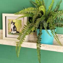 Cat Ceramic Wall Art Mini Framed Picture, Home Decor - thumbnail 2
