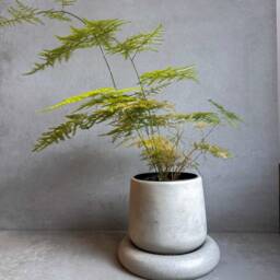 Concrete Planter With Saucer, Modern Plant Pot, Bubble Planter, Decorative Cement Minimalist Pot Nordic Chunky - thumbnail 2