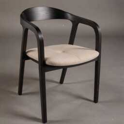 Dining Chair, Wood Accent For Room, Patio, Terrace, Bedroom & Lounge, Mid Century