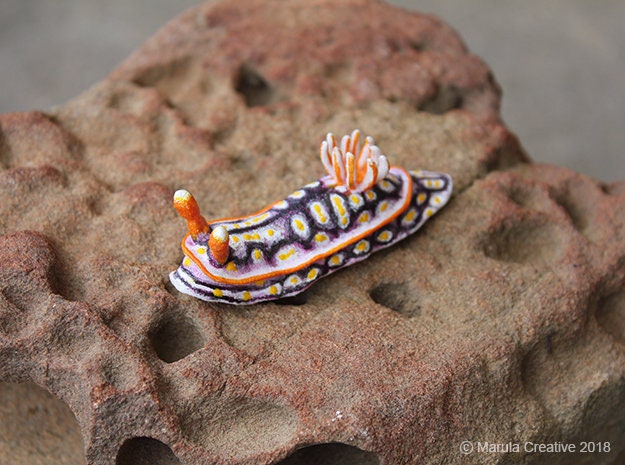 Soni The Nudibranch - Hypselodoris Jacksoni - image 1