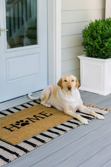 Home Dog Paw Doormat - I Love Dogs Puppy Custom Mat Must Gift