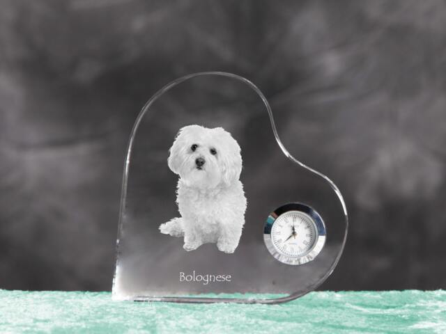 Bolognese - Crystal Clock in The Shape Of A Heart With Image Pure-Bred Dog - image 1