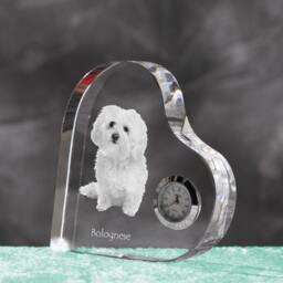 Bolognese - Crystal Clock in The Shape Of A Heart With Image Pure-Bred Dog - thumbnail 2