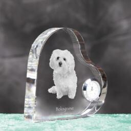 Bolognese - Crystal Clock in The Shape Of A Heart With Image Pure-Bred Dog - thumbnail 3