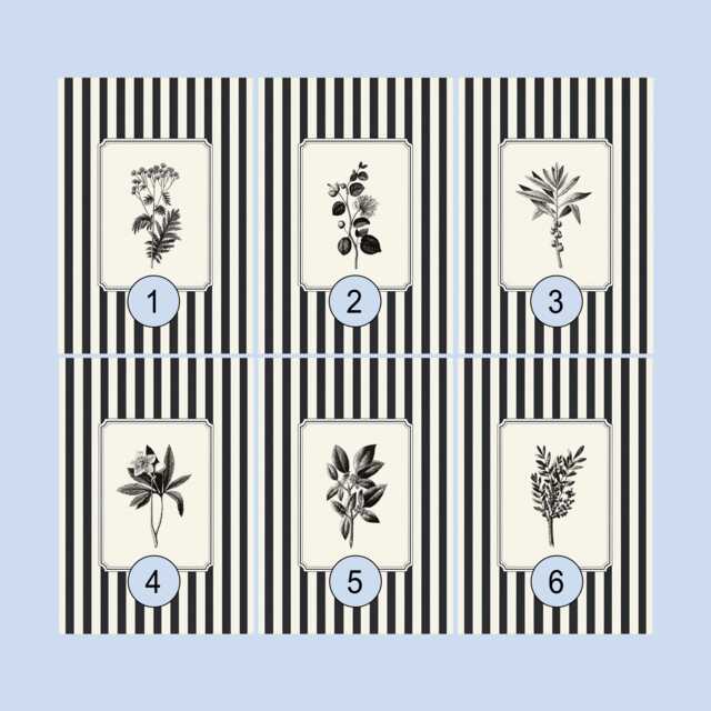 striped Botanical Print Set Of 2, Black & White Vintage Botanicals, Monochrome Wall Art - image 1