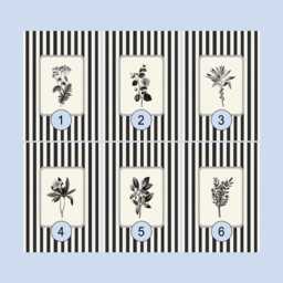 striped Botanical Print Set Of 2, Black & White Vintage Botanicals, Monochrome Wall Art - thumbnail 1