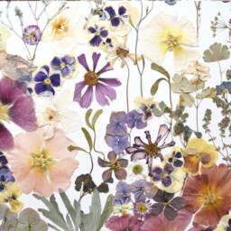 Large Pressed Flower Art, Botanical Wall Decor, Natural Home Dried Flowers Art, Real Flower Picture - thumbnail 2