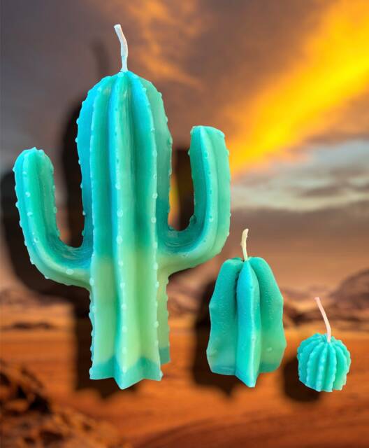 Cactus Candle/Candle/Figure/Sculpture/Candle 3D/Scented/Gift/Home Decor/Art Design/Design Candle/Fashionable Candle/Dog/Art/Deco/Unique/ - image 1