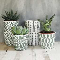 1x Small Dutch Pot - Green & White Plant Planter Rustic Herb Geometric Pattern Sold Individually