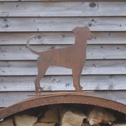 Rusty Metal Doberman Dog Gift, Huntaway/Collie, Cyprus Rescue, Outdoor & Garden Decoration - thumbnail 4