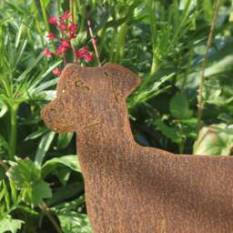 Rusty Metal Doberman Dog Gift, Huntaway/Collie, Cyprus Rescue, Outdoor & Garden Decoration - thumbnail 3