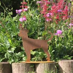 Rusty Metal Doberman Dog Gift, Huntaway/Collie, Cyprus Rescue, Outdoor & Garden Decoration - thumbnail 2