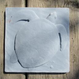 Swimming Turtle Concrete Picture Tile For Shower - thumbnail 4