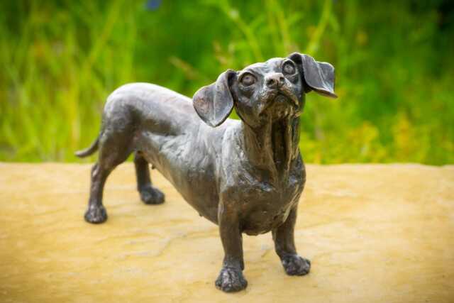 Standing Dachshund Dog Statue - Foundry Bronze Sculpture Outdoor Garden Life-Sized Animals, By Tanya Russell - image 1