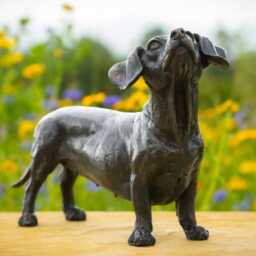 Standing Dachshund Dog Statue - Foundry Bronze Sculpture Outdoor Garden Life-Sized Animals, By Tanya Russell - thumbnail 3