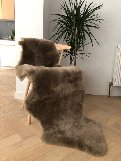 Taupe Xl Shearling Sheepskin, Rug, Throw , Upholstery Short Cut Interior Decor, Sheepskin Throw, Chair Cover Greige - image 1
