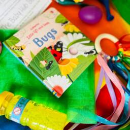 Sensory Baby & Toddler Bugs Garden Book Bag - thumbnail 2