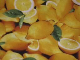 Lemon Pillow Case - Fruit When Life Gives You Lemons Standard Gift