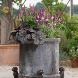 Handcrafted Antique Bronze Cockapoo Plant Pot Feet - Set Of 3 - Eco-Friendly Garden Decor - thumbnail 2