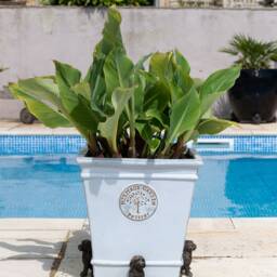 Handcrafted Antique Bronze Cockapoo Plant Pot Feet - Set Of 3 - Eco-Friendly Garden Decor - thumbnail 3