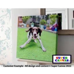 Dog Cat Pet Portrait Custom Picture Photo Hanging Wall Art Framed Canvas Print Handmade Mum Birthday Christmas Gift - thumbnail 1