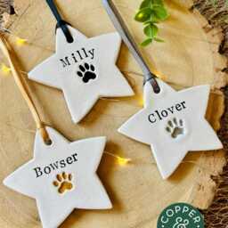 Personalised/Personalized Dog & Cat Christmas Tree Ornament - Star Decoration, Pet Bauble, Paw Print, Lover Gift, Xmas Gift For Pets - thumbnail 2