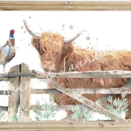 Highland Cow Print, Painting, Pheasant Watercolour Wall Art, Country Home Decor, Pictures - thumbnail 2