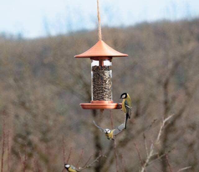 Decorative Bird Feeder - Copper - image 1