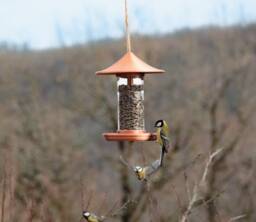 Decorative Bird Feeder - Copper - thumbnail 1