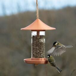 Decorative Bird Feeder - Copper - thumbnail 2
