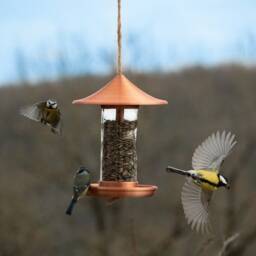Decorative Bird Feeder - Copper - thumbnail 3