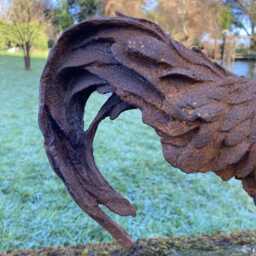Large Metal Cast Iron Rusty Rooster/Cockerel Garden Ornament - thumbnail 3
