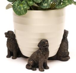 Newfoundland Plant Pot Feet Set Of 3 - Charming Garden Decor