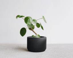 Black Wood Indoor Planter - Praha Perfect Gift For Plant Lovers