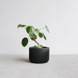 Black Wood Indoor Planter - Praha Perfect Gift For Plant Lovers - thumbnail 3