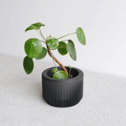 Black Wood Indoor Planter - Praha Perfect Gift For Plant Lovers - thumbnail 2