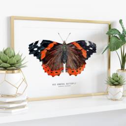 Red Admiral Butterfly Art Print - Vanessa Atalanta Watercolor Wall D??cor Bedroom, Bathroom Poster Living Room, Nursery, Animal Gift - thumbnail 3