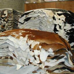 Cowhide Patchwork Rug Amazing 6' X 8' - thumbnail 4